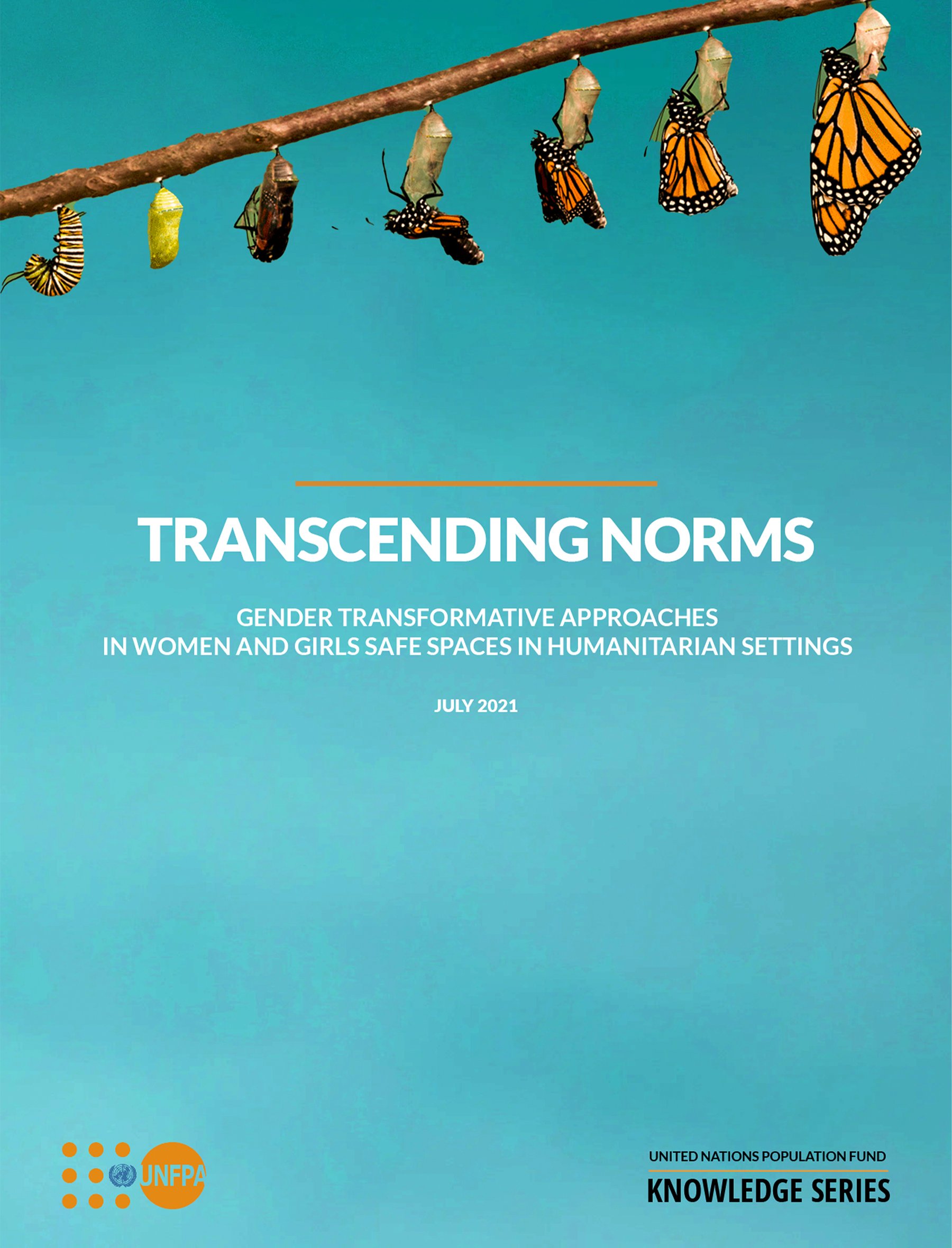 TRANSCENDING NORMS publication