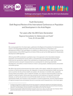 Youth Declaration - Sixth Regional Review of the International Conference on Population  and Development in the Arab Region