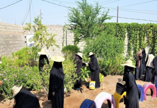 Hiam & other women learning sustainable farming offered as part of livelihood skills training at the safe space.©UNFPA Yemen/YWU