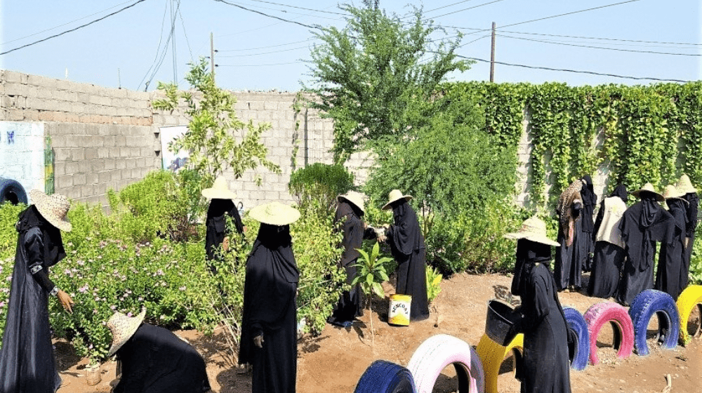 Hiam & other women learning sustainable farming offered as part of livelihood skills training at the safe space.©UNFPA Yemen/YWU