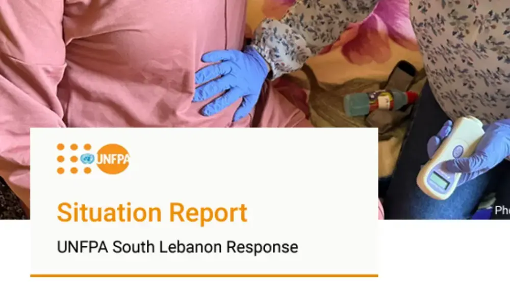 South Lebanon Situation Report #1 - August 2024