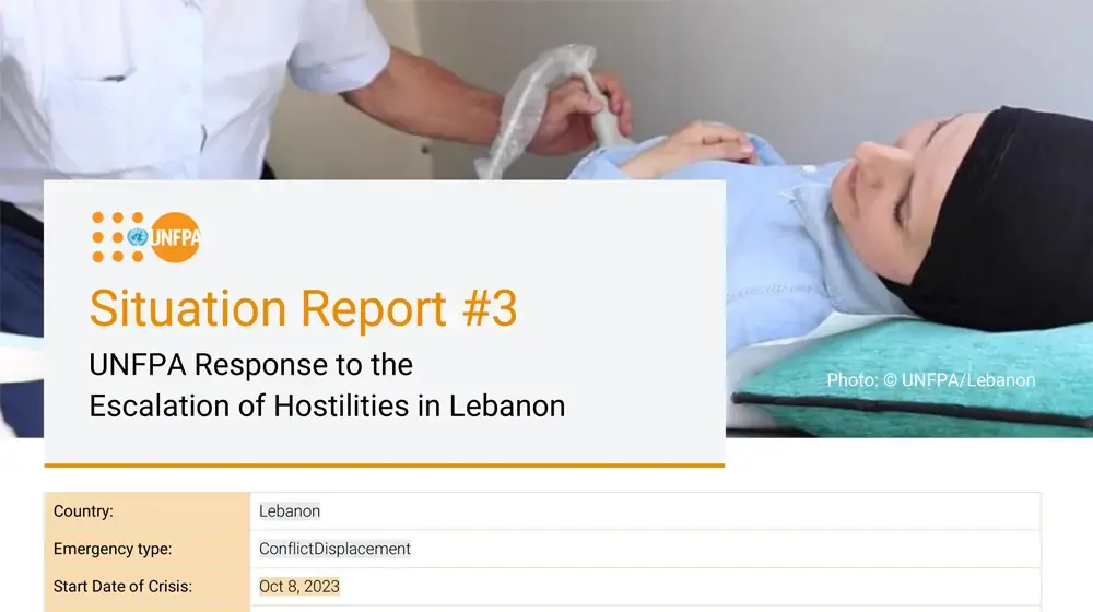 Lebanon Situation Report #3 - November 2024