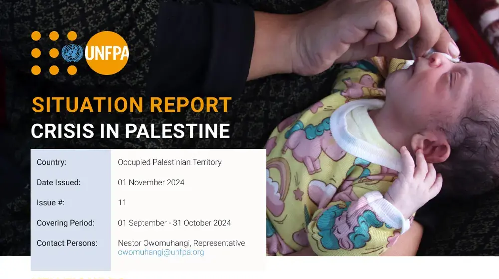 Palestine Situation Report #11 - November 2024