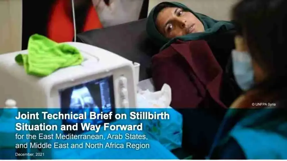 Joint Technical Brief on Stillbirth Situation and Way Forward for the East Mediterranean, Arab States, and Middle East and North Africa Region