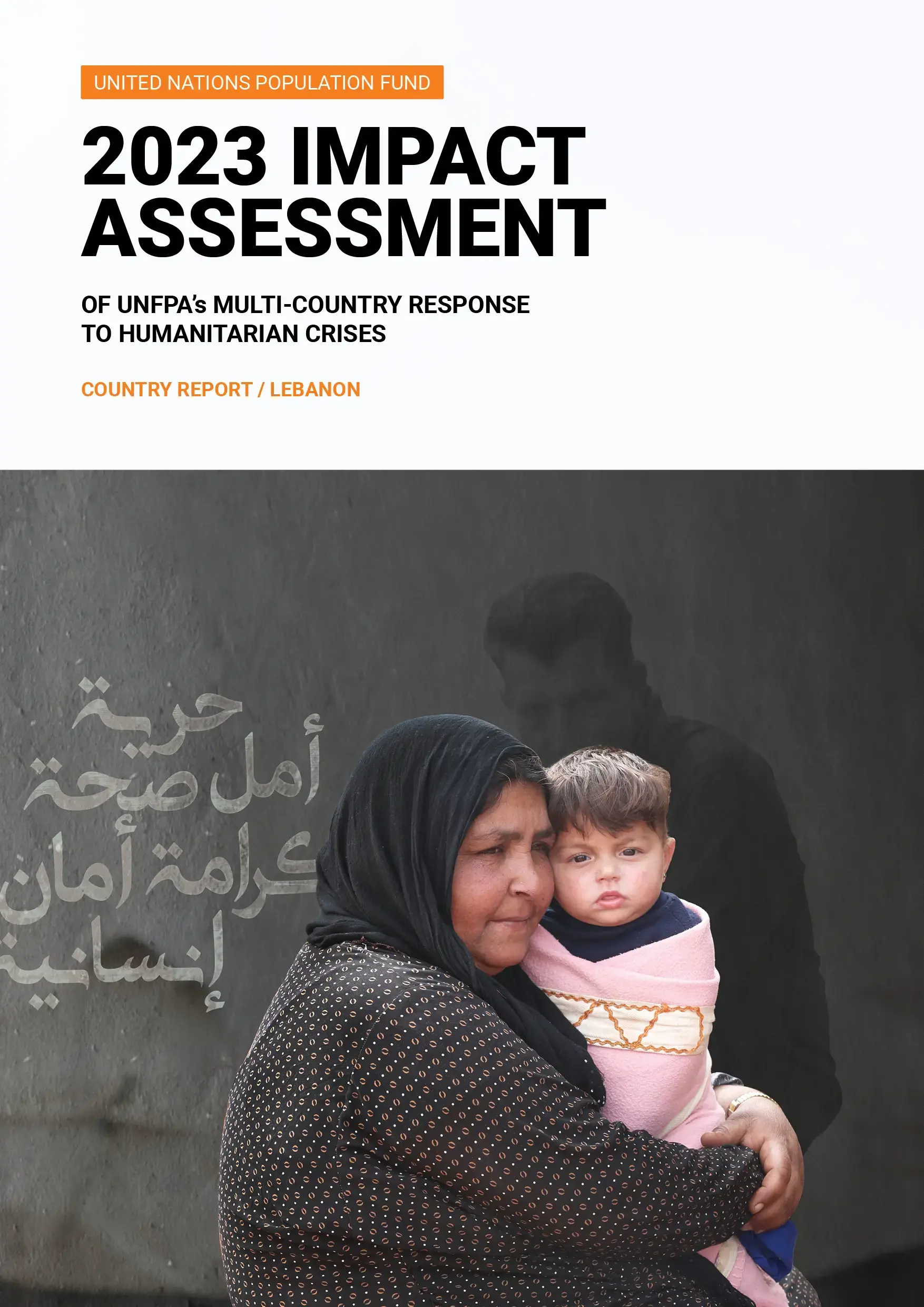 Lebanon Impact Assessment Report