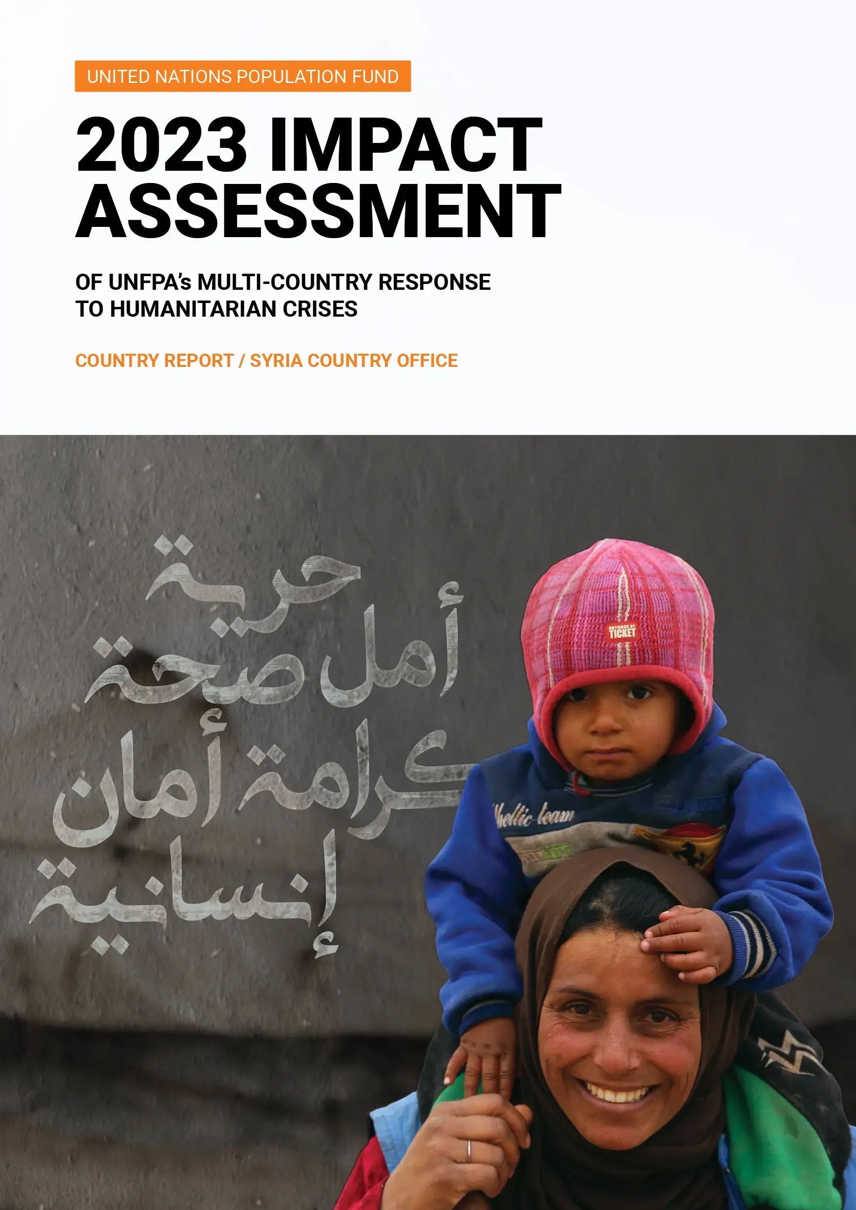 Syria Impact Assessment Report