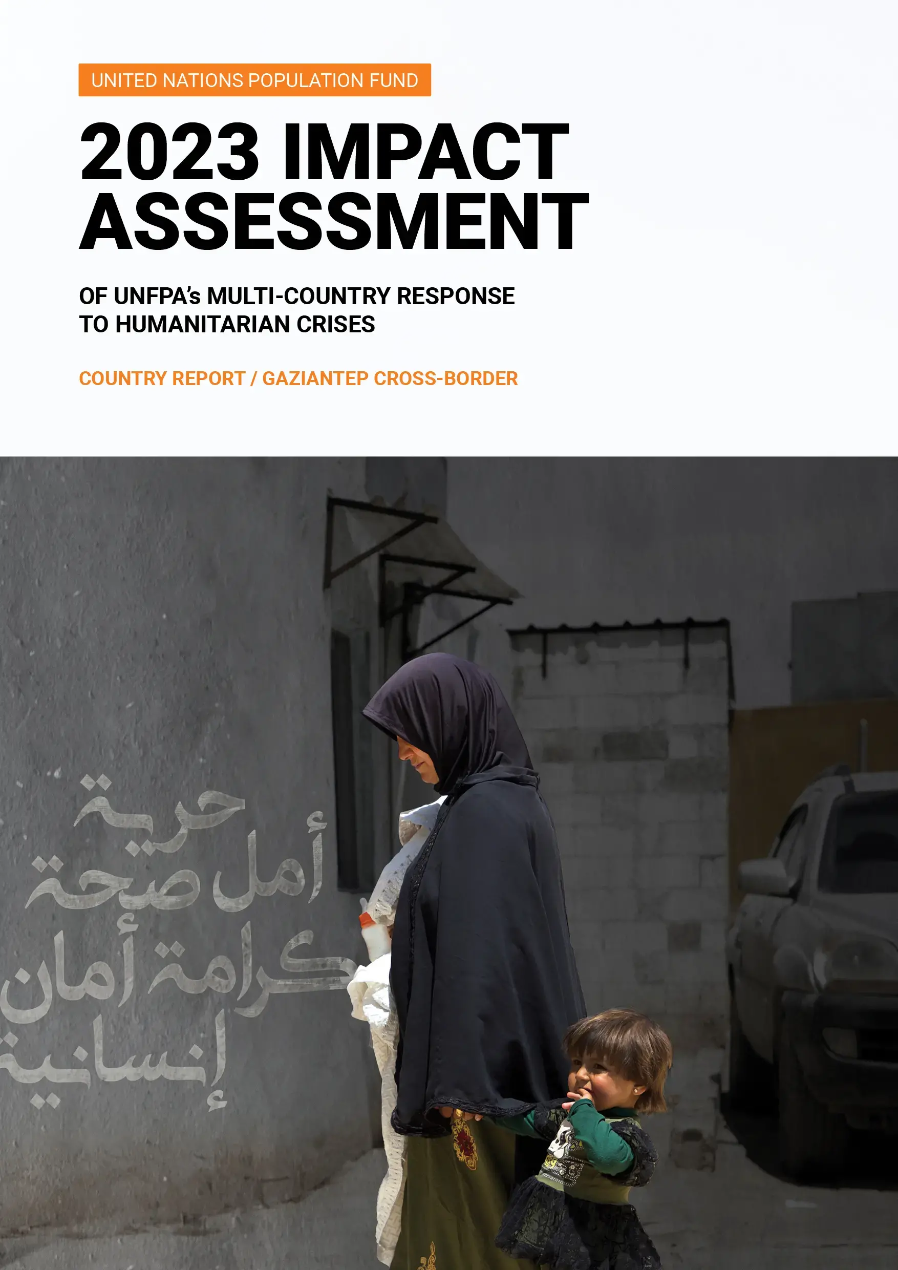 Gaziantep Impact Assessment Report