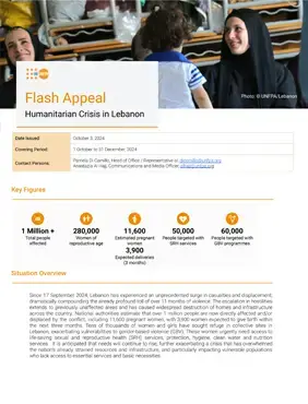 Lebanon Flash Appeal - October 2024