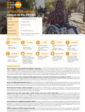 Palestine Situation Report #12 - December 2024