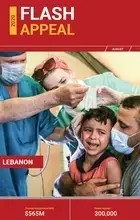 Lebanon UN Flash Appeal